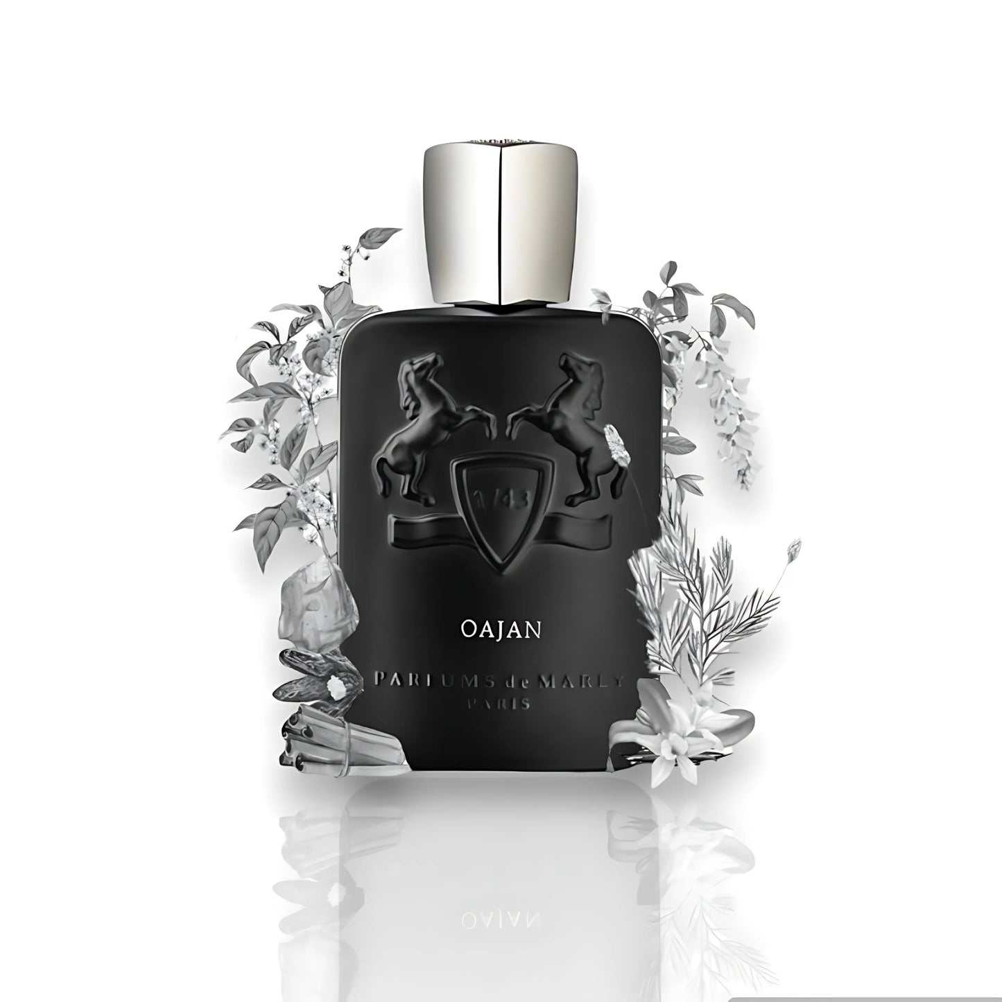 Oajan